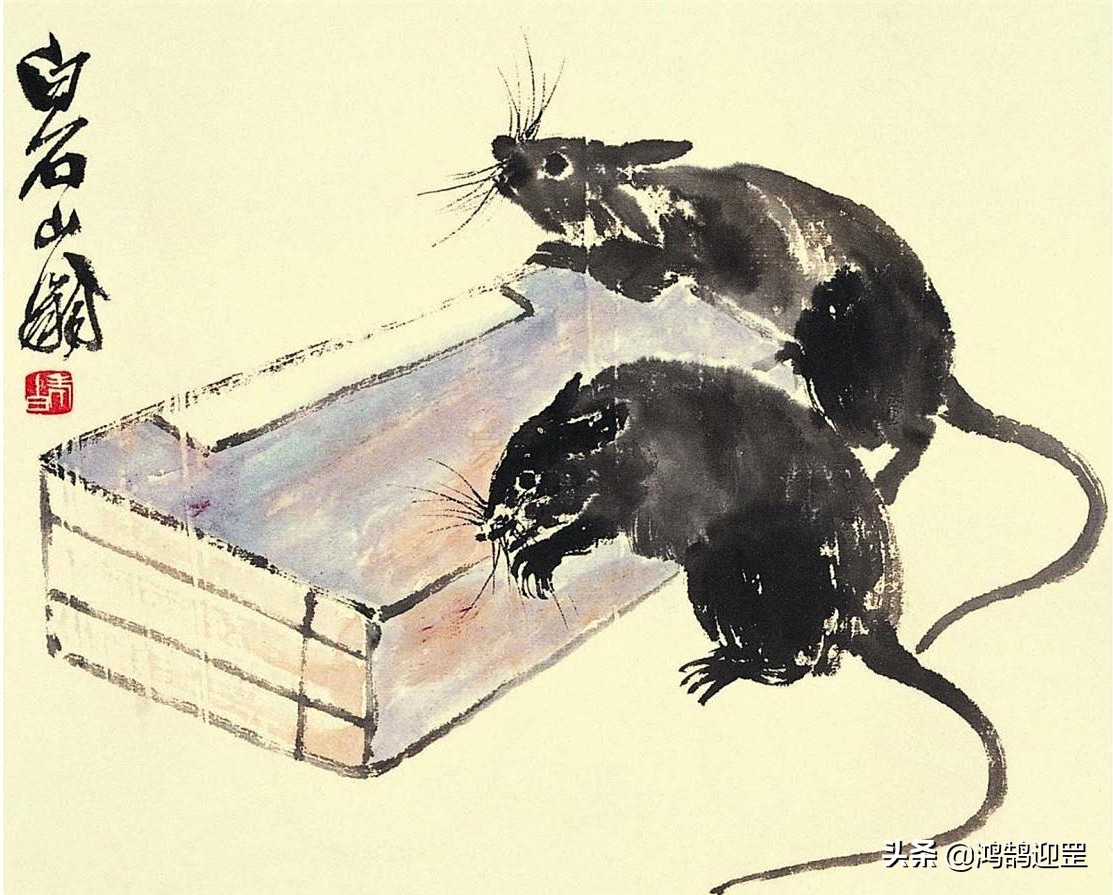 12生肖鼠排列顺序,十二生肖的顺序为啥鼠排第一位