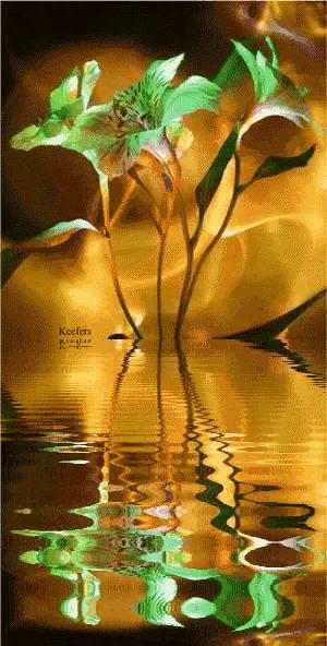 这是我见过最美的风景吗,这是我见过的最美的风景英语