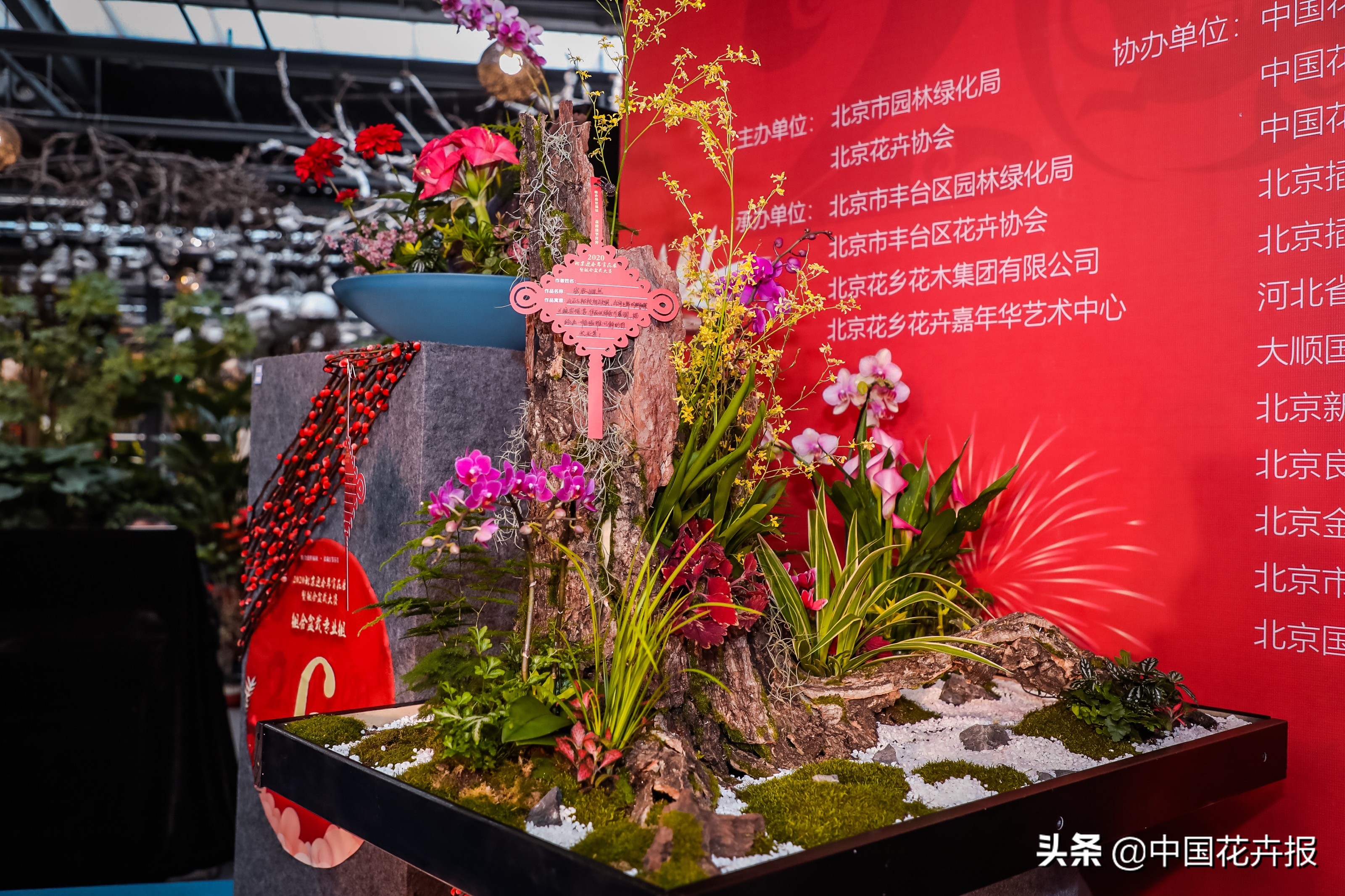 北京迎春花展,北京春季花展时间表