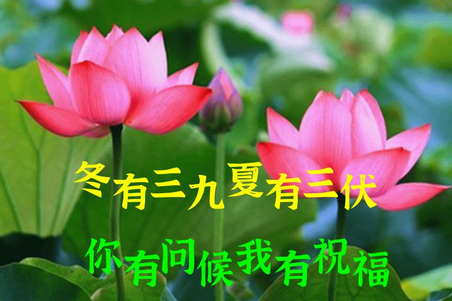 早上好周末愉快问候语动态表情包,周一问候早上好带字美图