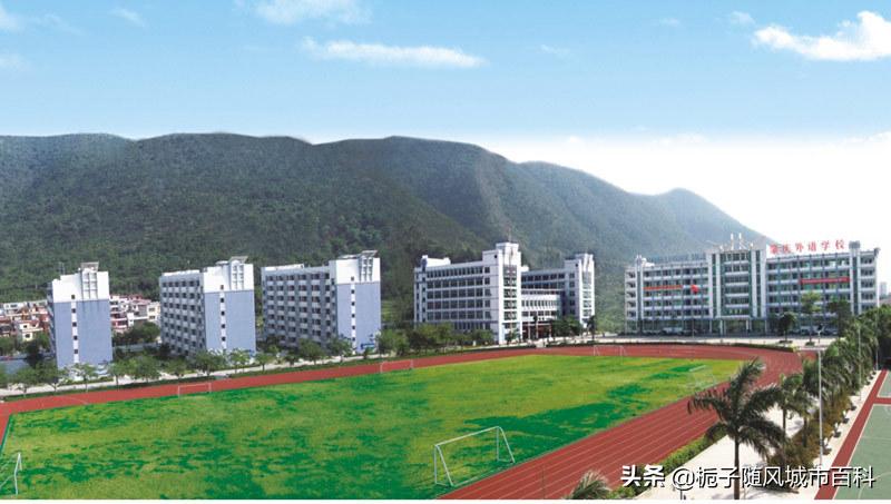 肇庆市最便宜的民办高中学校,肇庆前十名的学校