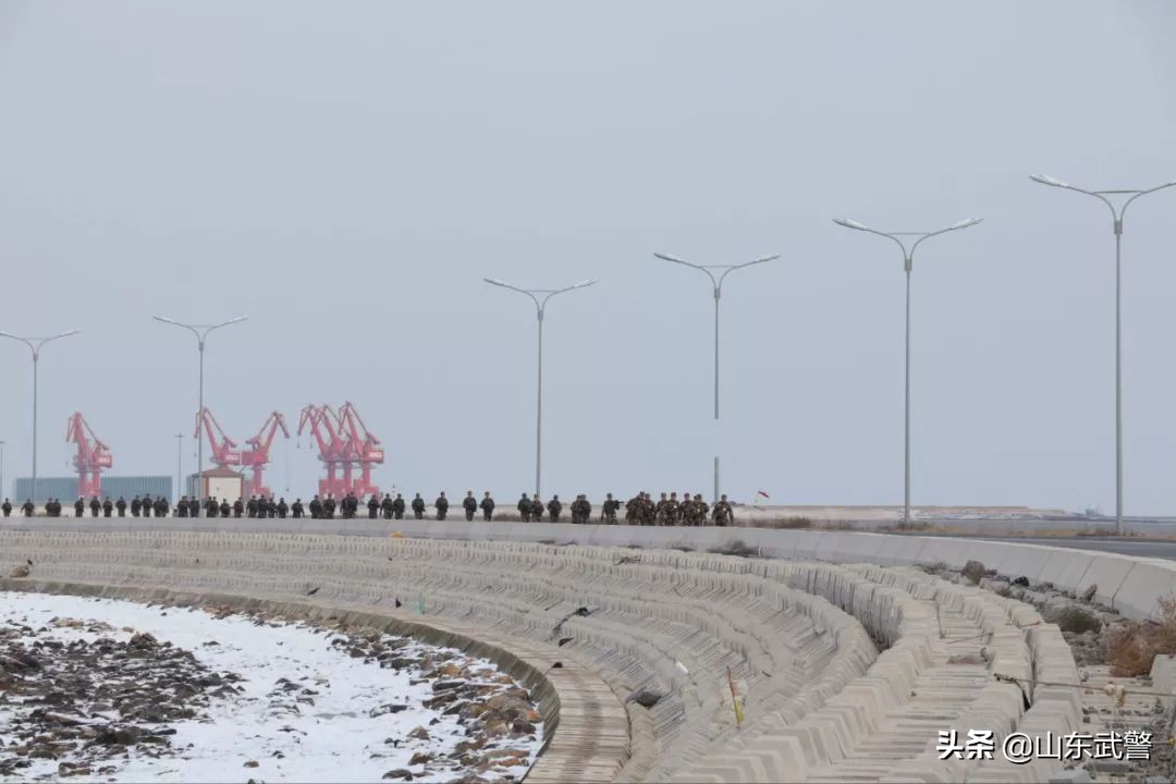 冬眠没完成怎么补救,进入冬眠的最佳方法