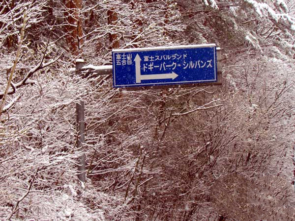 日本埼玉浦和,日本女团琦玉体育馆