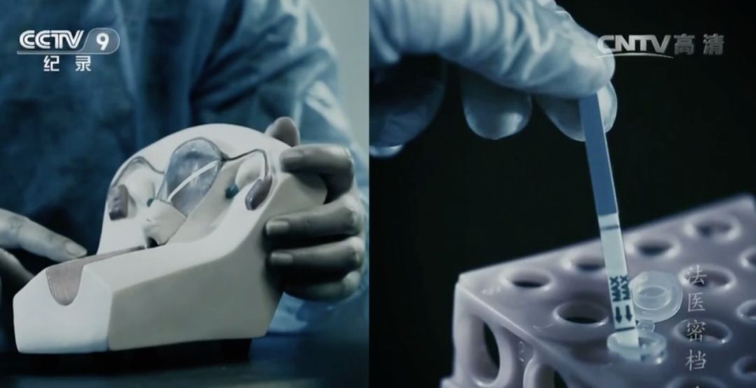 成功处理尸体,专业人士处理尸体