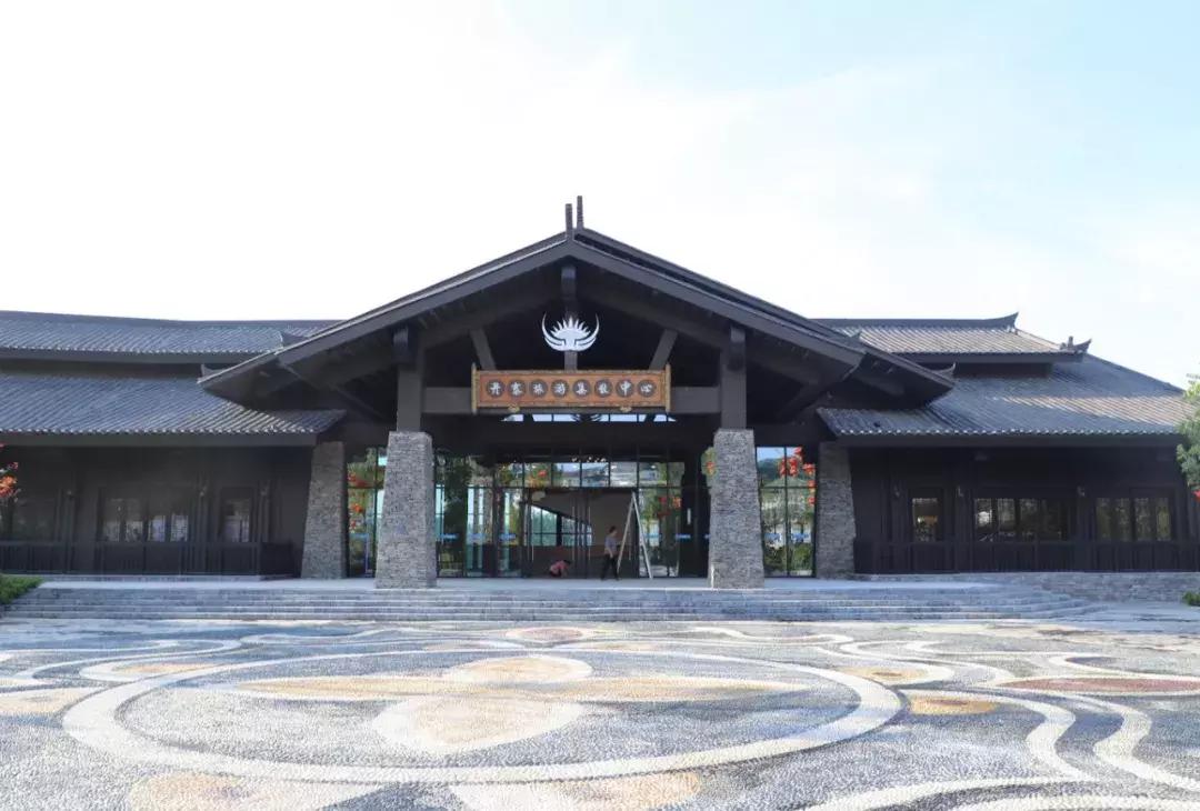 丹寨万达小镇发展建议,丹寨万达小镇工程项目