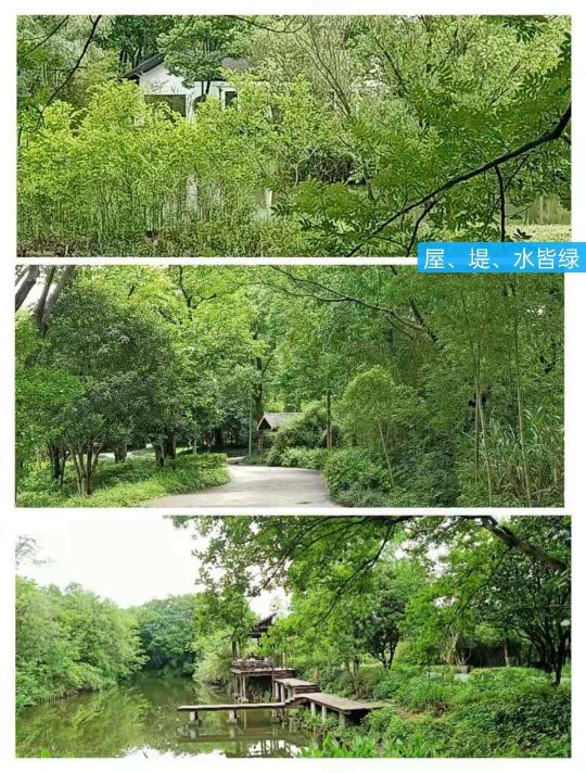 文化源远,三:水中寺庵？秋雪四面环水似孤岛蒋村二客夜走秋雪庵