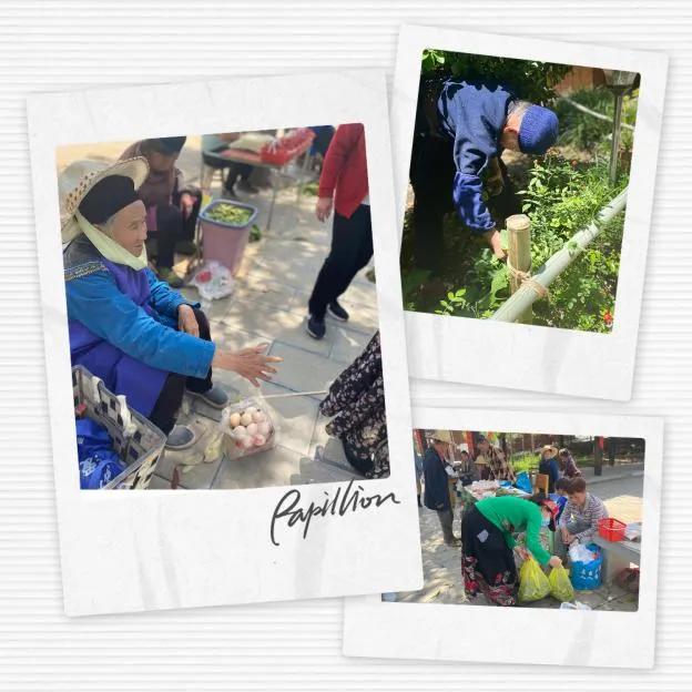 最淳朴的农家乐,必去的乡村味道农家乐