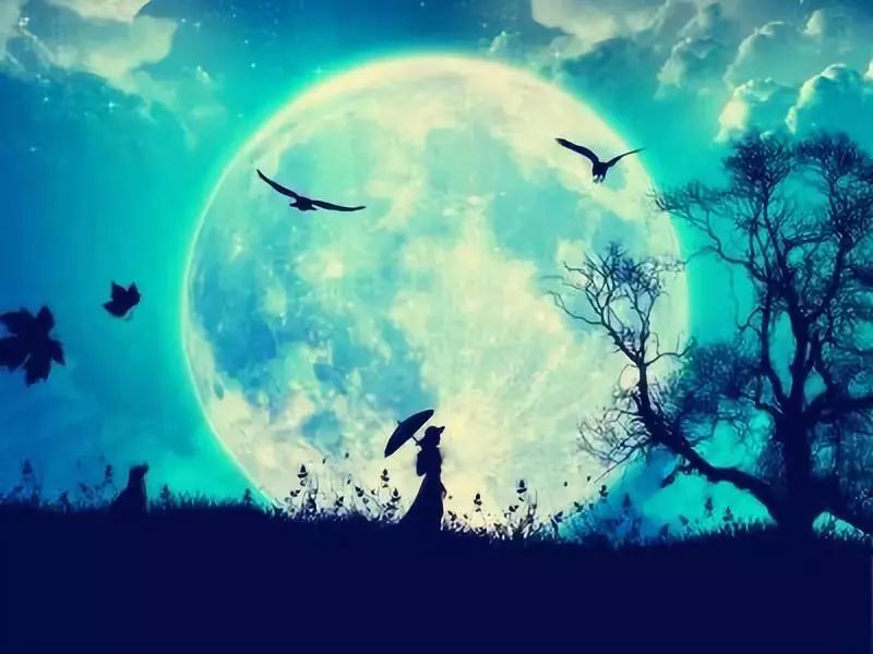 【海南省作协会员•诗歌】935期︱海南黄海《新年的雪（组诗）》