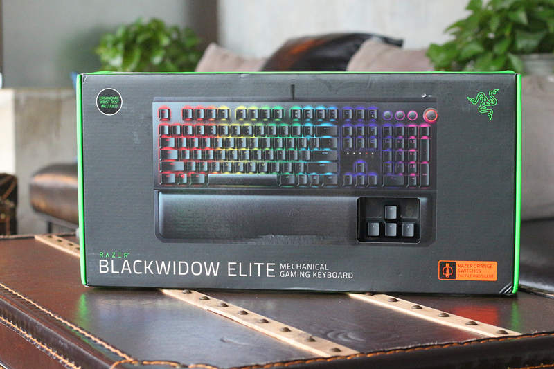 黑寡妇蜘蛛幻彩版和标准版,黑寡妇蜘蛛幻彩版灯光