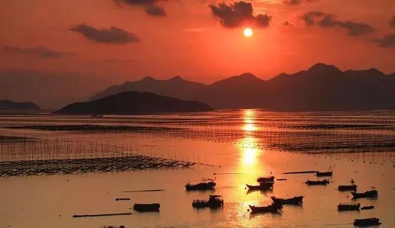 霞浦三沙国际山地马拉松官方成绩,霞浦三沙马拉松2023多远