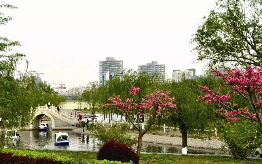 霸州踏青,霸州附近看花踏青好去处