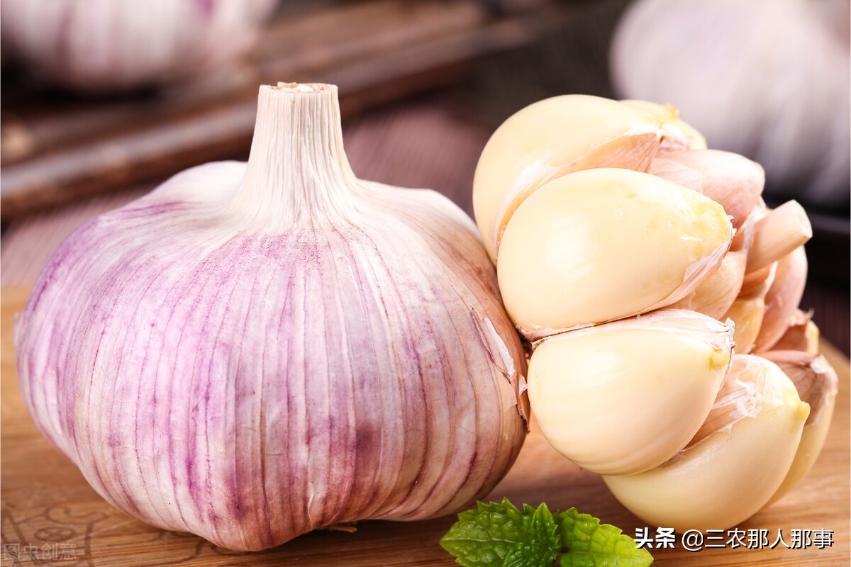 大蒜施肥的正确方法和时间,2020年大蒜行情大蒜施肥方法