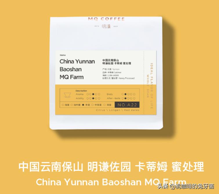 云南咖啡有远山森林的味道吗,云南咖啡产地探访记