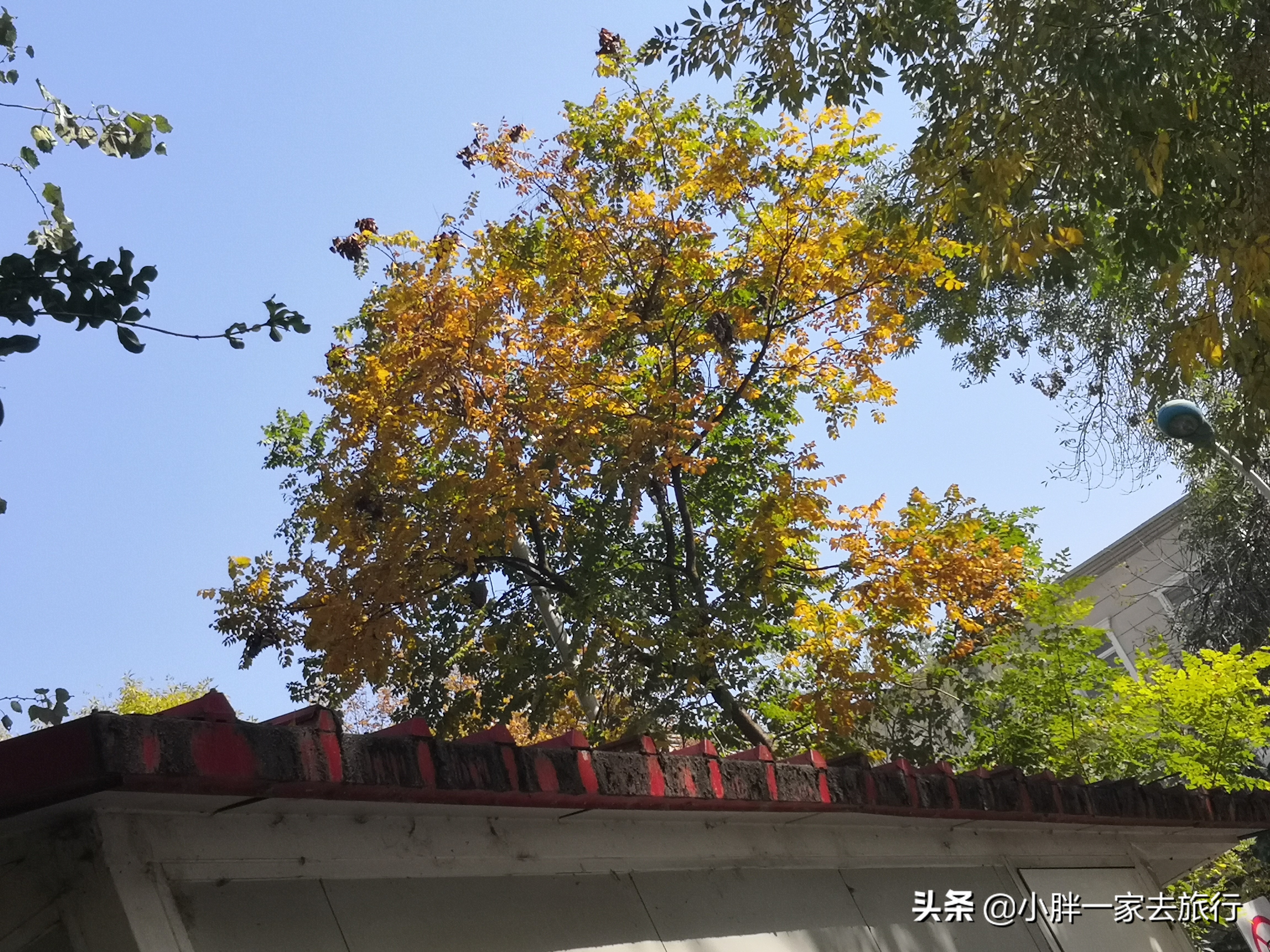 逛逛我的家乡天津滨江道,天津旅游滨江道