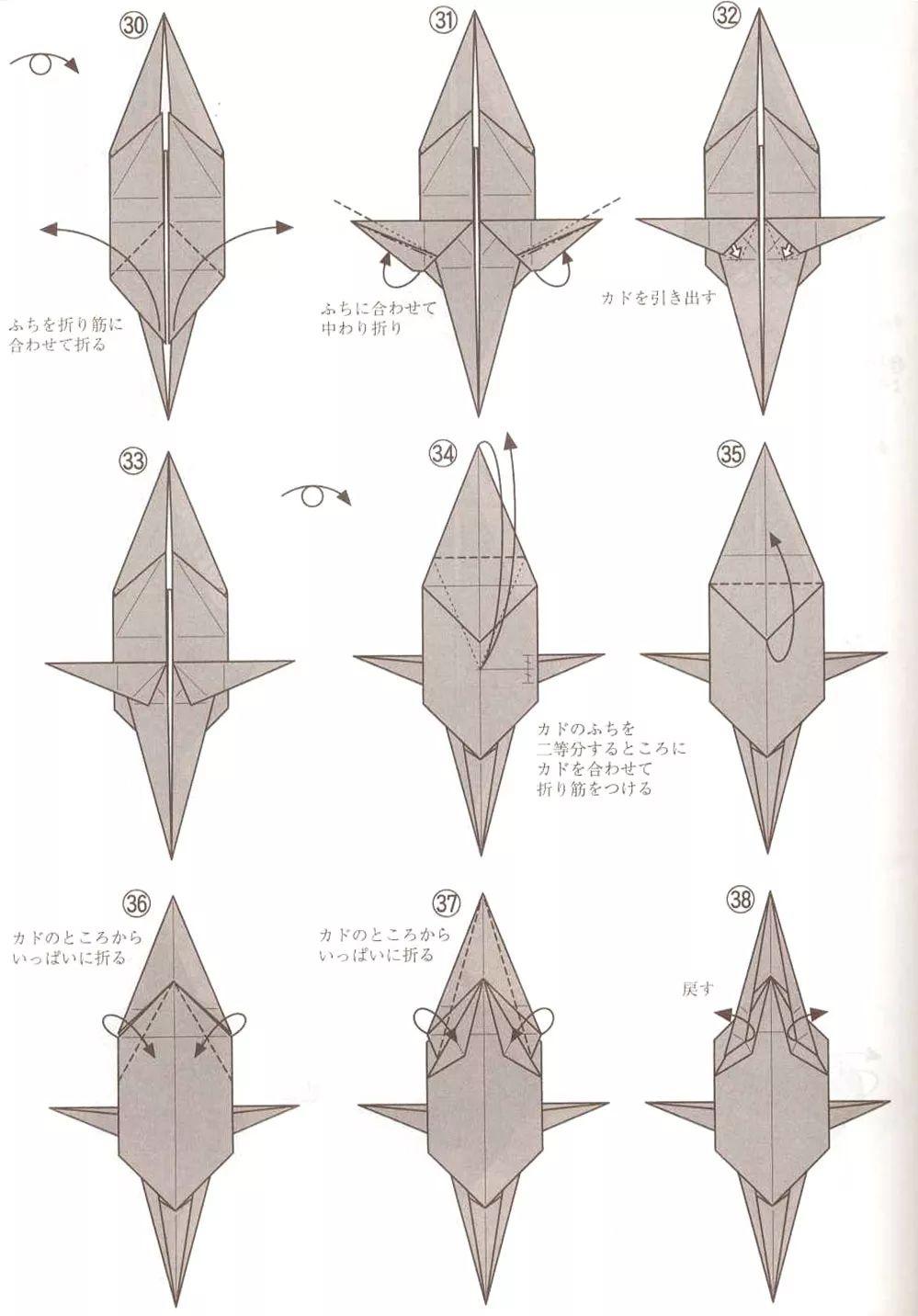各种恐龙异特龙,五大最残暴的肉食恐龙异特龙