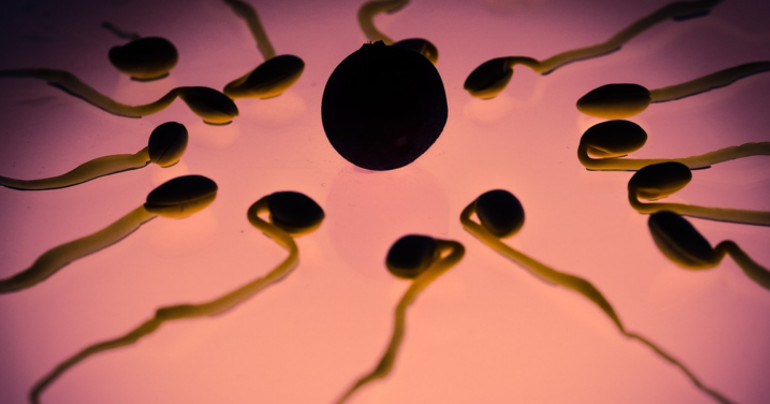 新型无副作用男性避孕药或将问世,男性避孕药首次研发成功