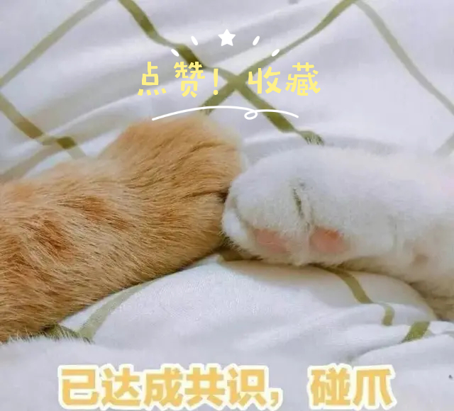 【*美耽**推文】我爱的神仙太太们（第三弹）