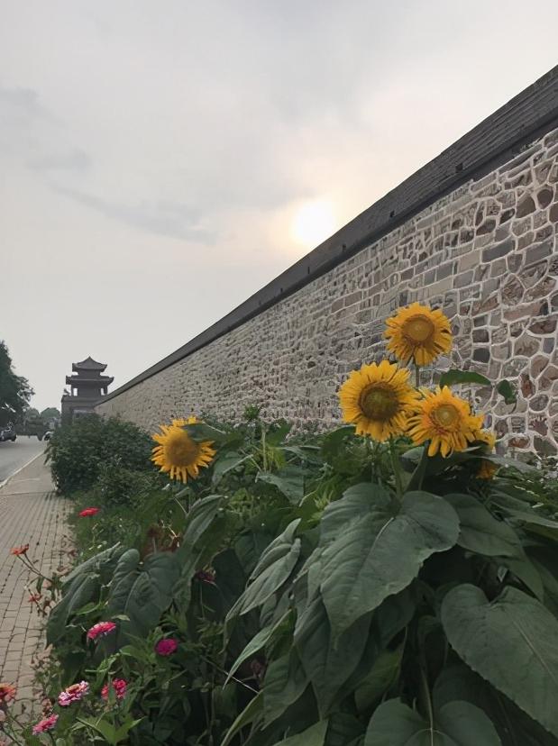 辽宁省内的葫芦岛市简介,辽宁省葫芦岛市各区