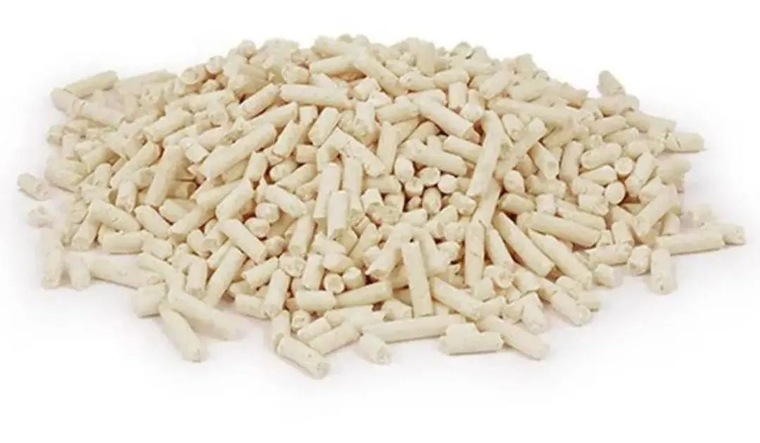 养小猫攻略,养2个月小猫攻略