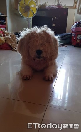 门口发现许多奇怪动物,门口发现一只蟑螂