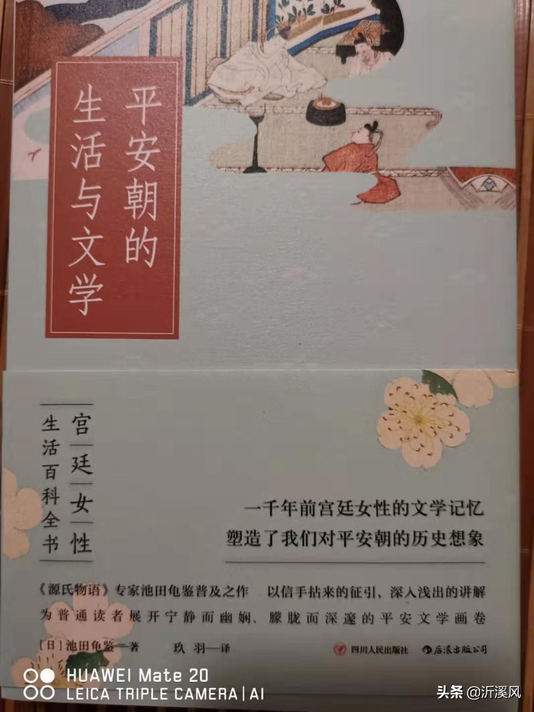 服饰与器物，对日本宫廷女性美的辅助展现，及其等级森严的规定
