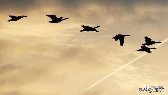 泰国发展不均衡,泰国和中国哪个生活条件好