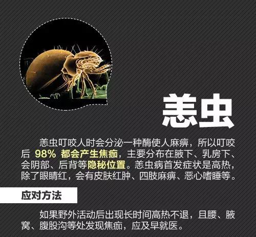 十大毒虫咬人后果,十大毒虫咬人了怎么办