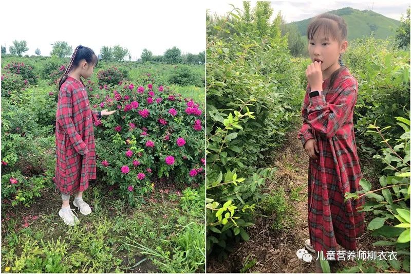 暑假带孩子内蒙古旅游攻略,暑期内蒙古亲子游鄂尔多斯