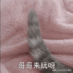 脸上有斑是做冷冻还是激光,黄褐斑用激光祛好还是吃中药