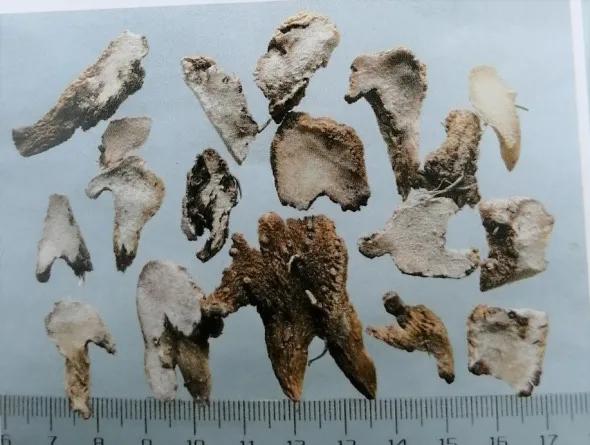 收敛止血的中成药有哪些,止血收敛的药有哪些