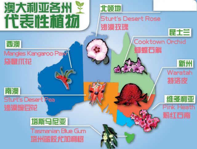 澳大利亚是个怎样的国家英语,澳大利亚到底是哪个洲的国家