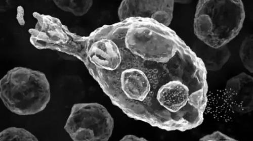 生物免疫细胞治疗癌症,生物免疫治疗癌症有效果吗