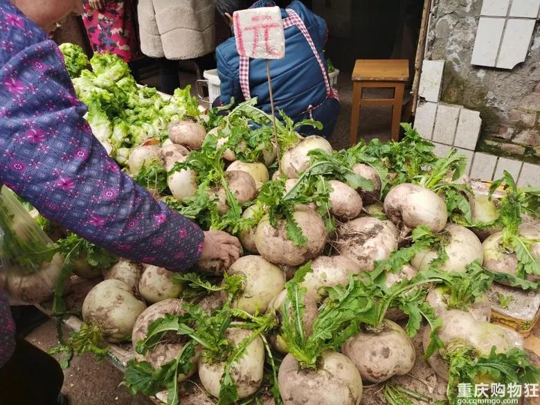 渝北区狗儿市场有卖猫的吗,渝北狗儿市场买狗