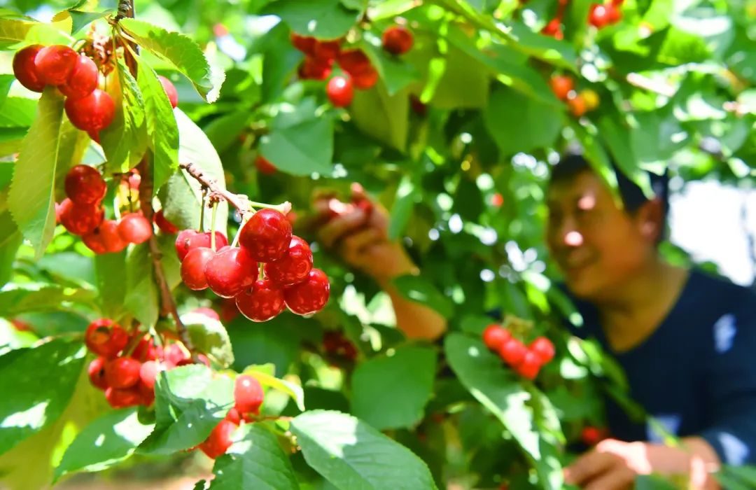 珏山景区旅游攻略,晋城珏山旅游景点大全