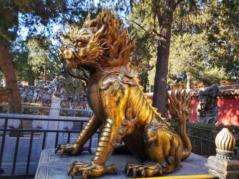 宫廷瑞兽象征什么,古代大门上的是什么瑞兽