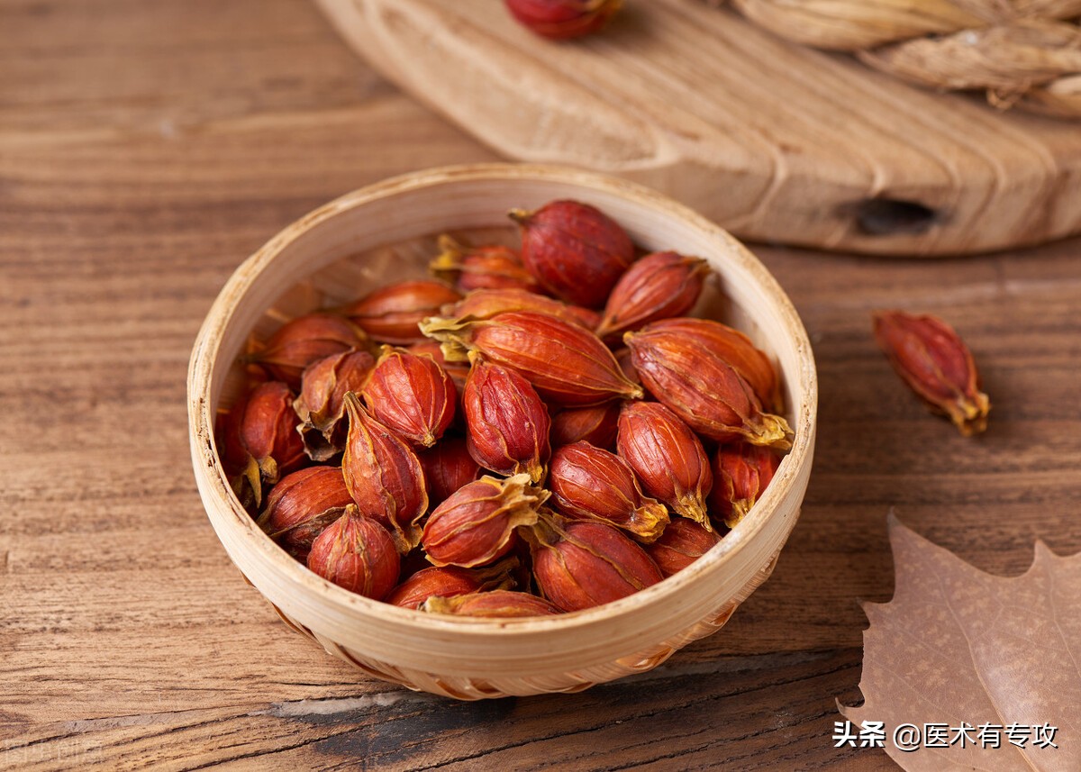 每天认识一味中药栀子,每天一味中药栀子