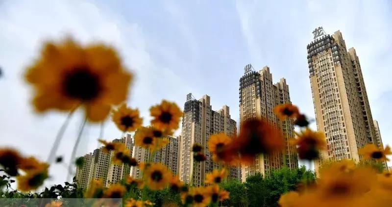 洛阳适合休息的公园,洛阳免费公园景点大全