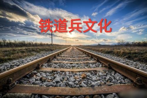 加强项目党建工作经验材料 (党建纪检工作者培训体会)