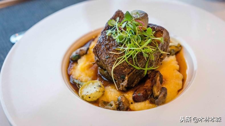 加拿大多伦多生活日记,加拿大多伦多留学生活纪实