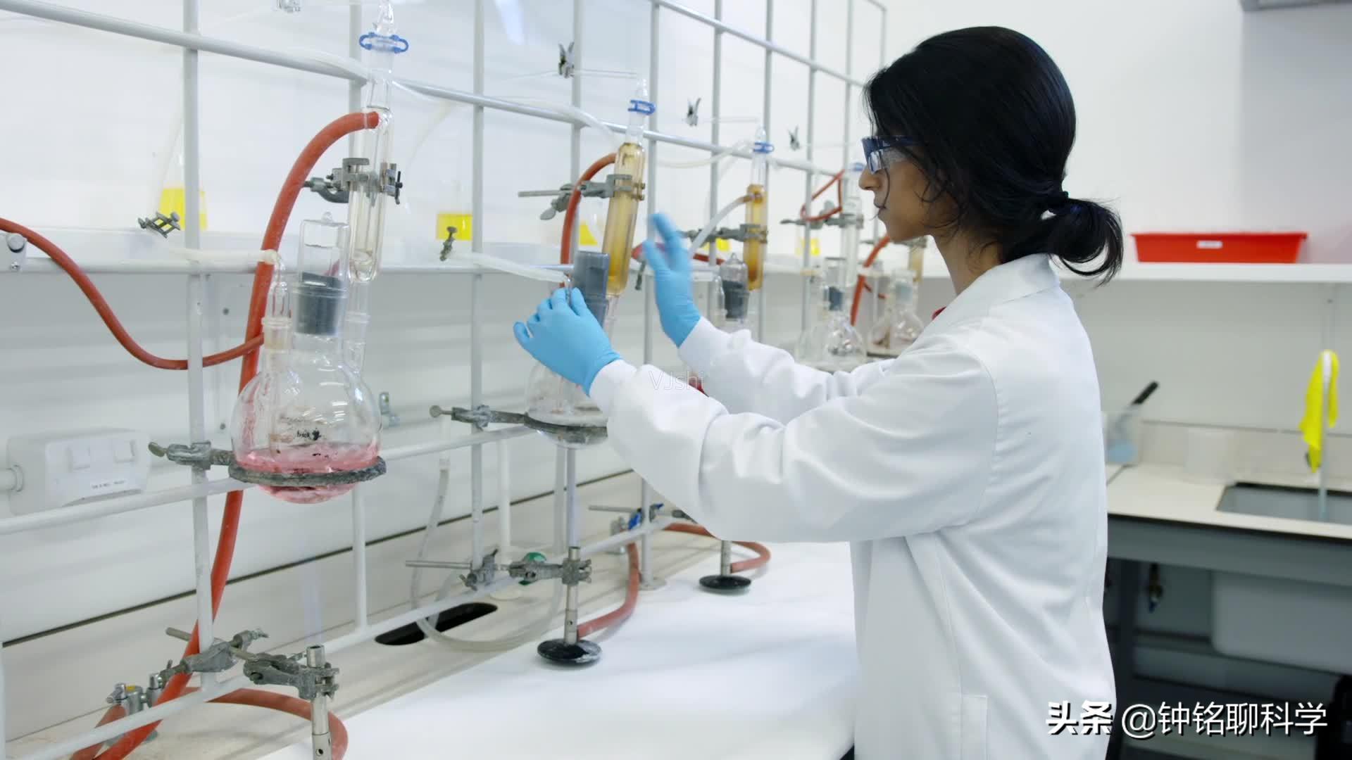 蛇中熊猫莽山烙铁头,莽山烙铁头蛇全球仅有500条