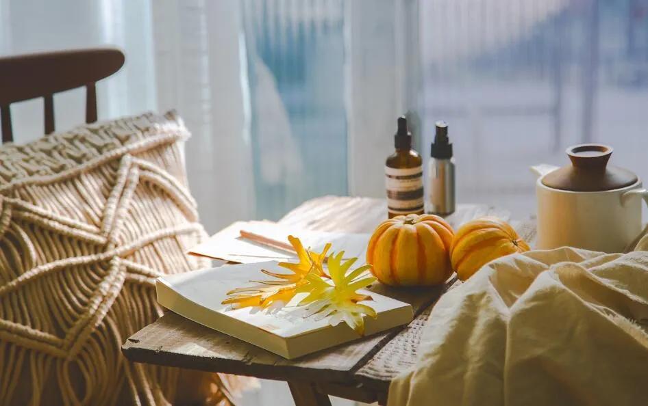 意风榴莲的优缺点,意风榴莲优缺点