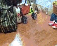 这一定是个好姑娘，新郎你有福了，羡慕啊羡慕