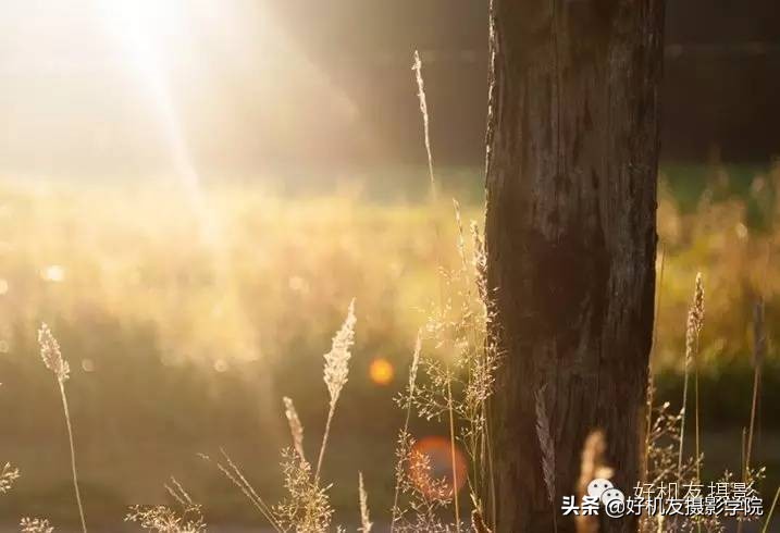 最简单的灯光技巧,简单有效灯光方案