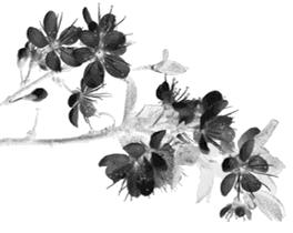 丰子恺治愈文字,丰子恺诞辰120周年完整版