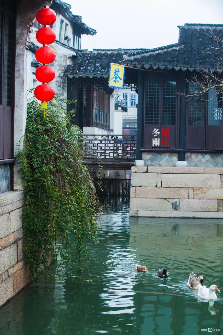 独游周庄,清明游周庄