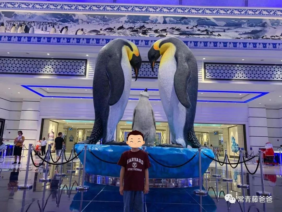 广州长隆攻略两天一夜住哪个酒店,去珠海长隆前一天下午游玩攻略