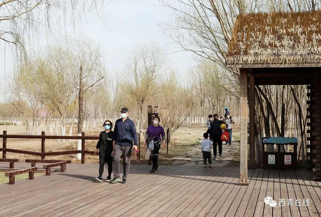 天津2022年四月开放的公园,天津北辰郊野公园现在开放吗