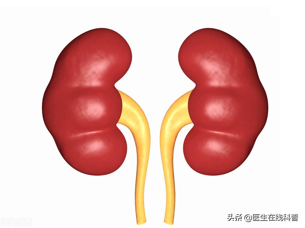 肾病肌酐中西医结合看病不降反升,肌酐200的慢性肾衰竭能治愈么