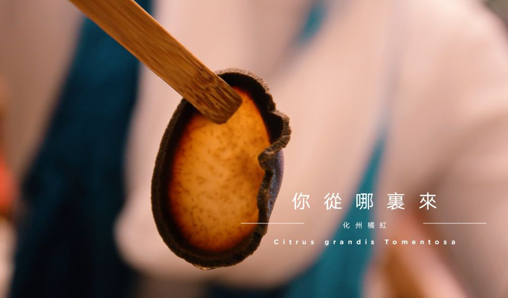 我们是怎样度过人生的,你怎么度过疫情就怎么度过一生