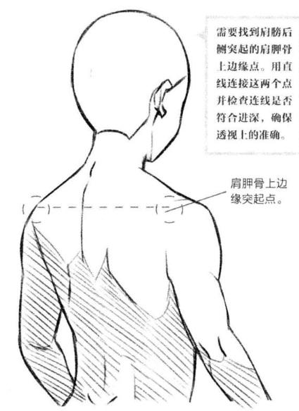 零基础漫画侧脸教程,初学漫画头入门零基础